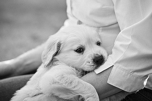 №102, Людмила Олейник, Конотоп №102, Людмила Олейник, Конотоп