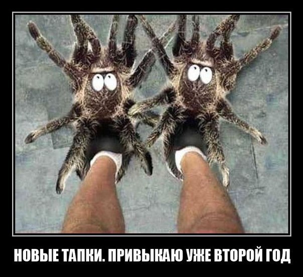 №45, Натали Карпенко, 36 лет, Limassol №45, Натали Карпенко, 36 лет, Limassol