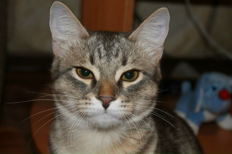 Любовь Ерпылева | Лениногорск