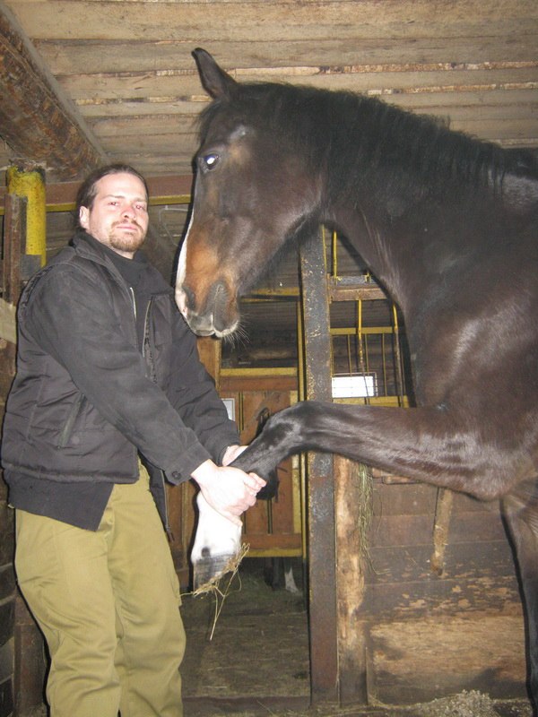 Алексей Гинзбург | Йошкар-Ола