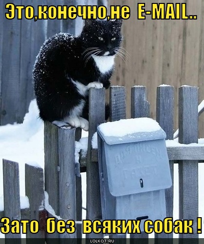 №9, Андрей Кучер, 30 лет, Киев №9, Андрей Кучер, 30 лет, Киев