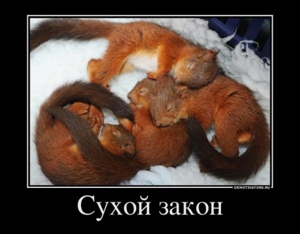 Антон Иванюшин | Брянск