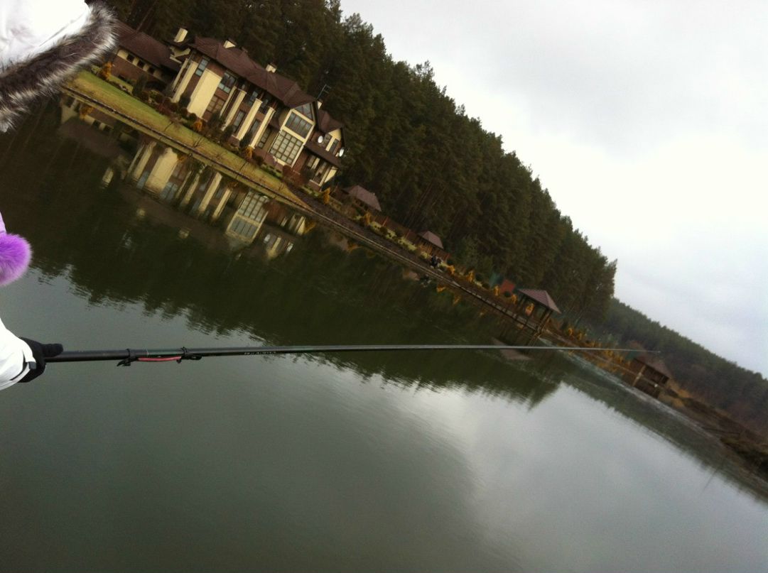 Olga Labuda | Montréal