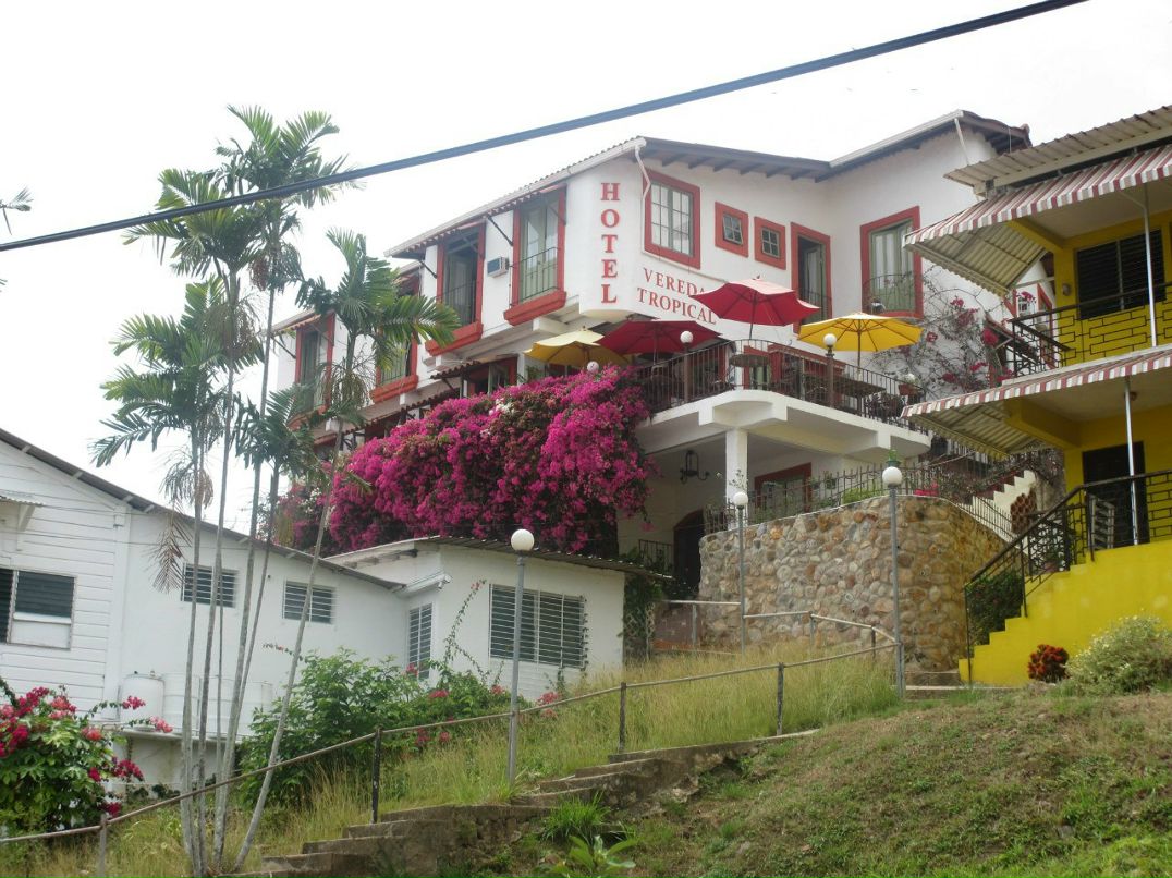 Тамара Якушева | Germantown