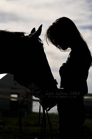 Darling Mirage-Sun | Киев