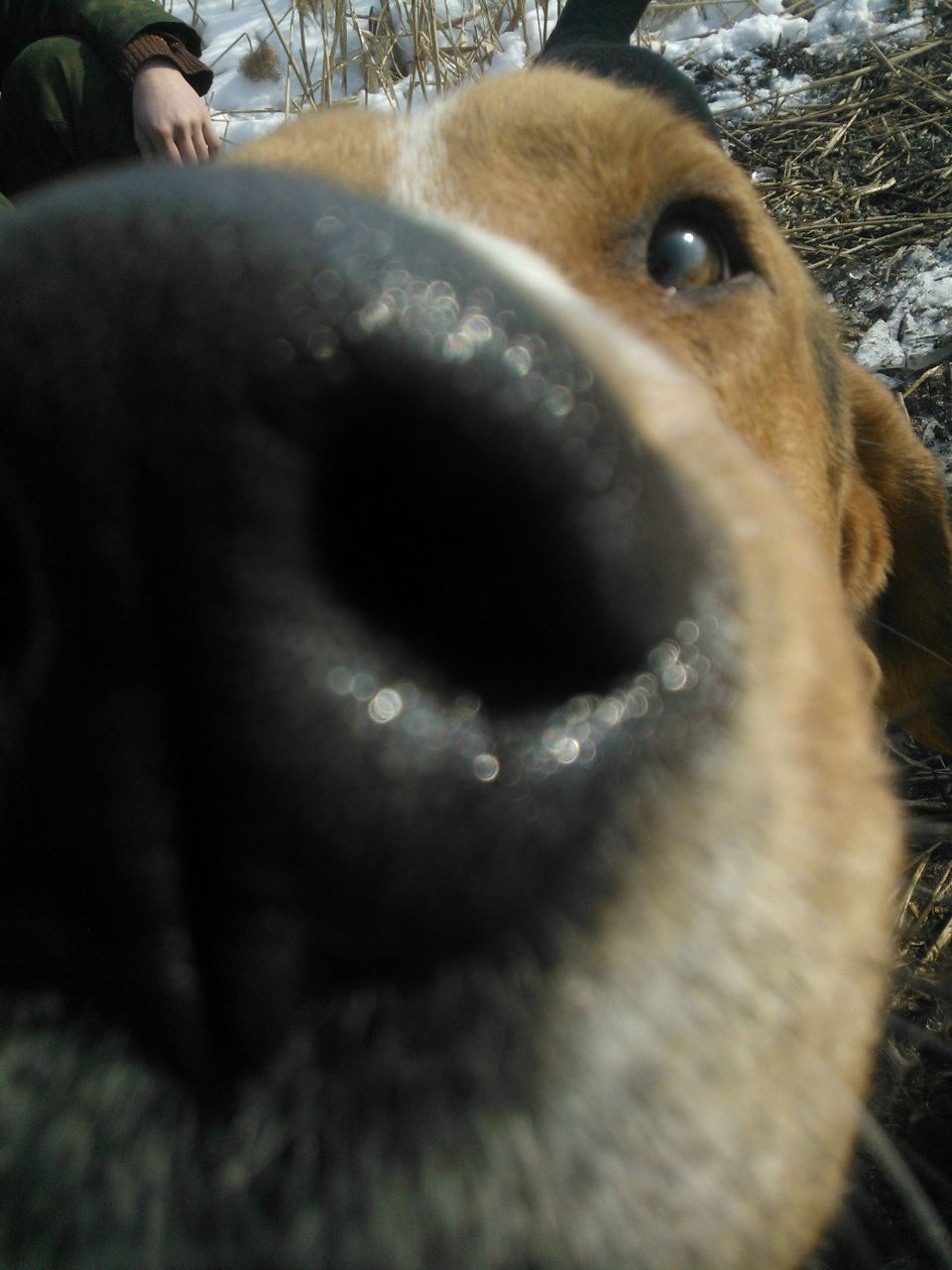 Евгений Пушилин | Липецк