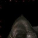 №58, Дмитрий Армейцев, 4.3, Москва №58, Дмитрий Армейцев, 4.3, Москва