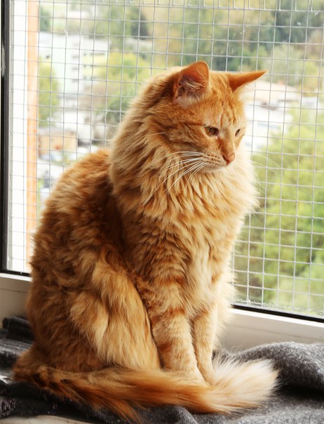 Екатерина Пискарева, Россия, Москва