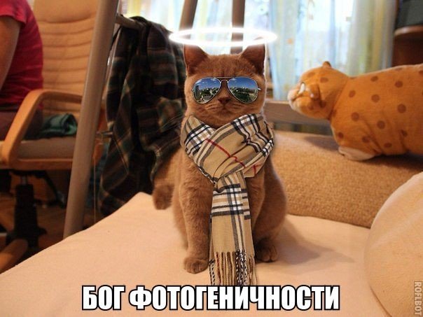 Никита Солдатов, Россия, Омск