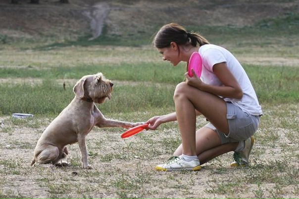 №121, Анастасия Журавлёва, Москва №121, Анастасия Журавлёва, Москва
