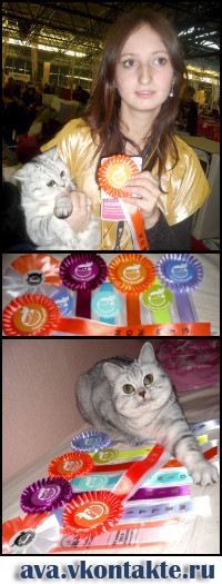 №83, Анюта Петрик, 40 лет, Санкт-Петербург, Россия №83, Анюта Петрик, 40 лет, Санкт-Петербург, Россия