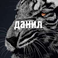 Данил Тимофеев