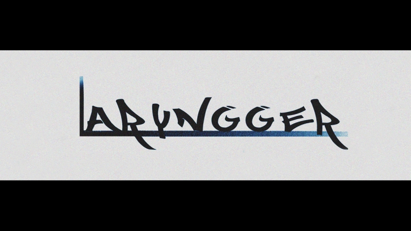 Laryngger art stream 2k17 + вокально интсрументальный ансамбль Angry