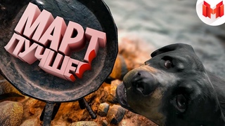 “Баги, Приколы, VR“ Лучшее за март 2019