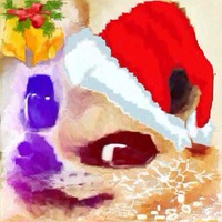 Stupid_Doge Stupid_Doge