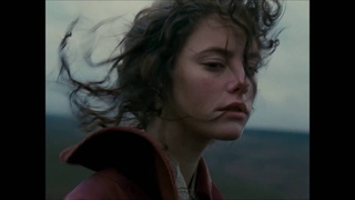 wuthering heights