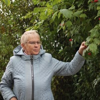 Елена Спицына