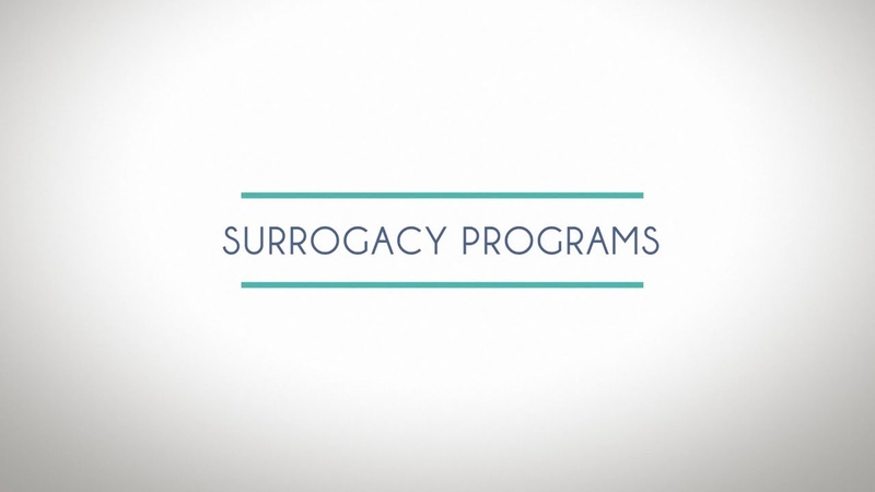 International surrogacy