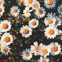 Арина Малинина | 