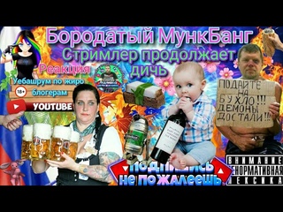 Бородатый мункбанг трех подбородковещятельность