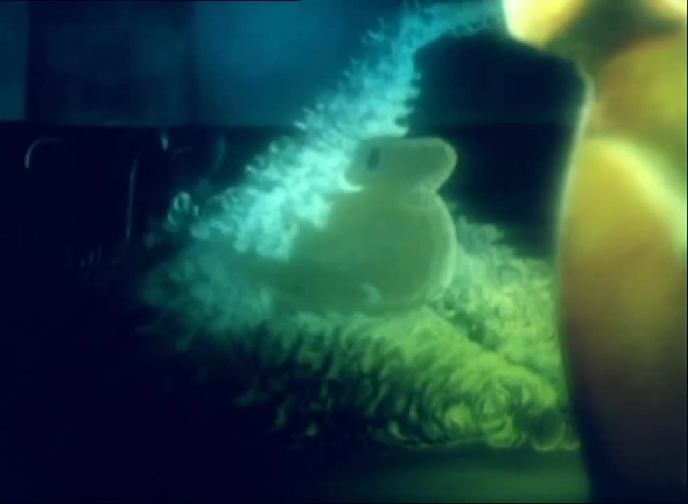 Screenshot preview