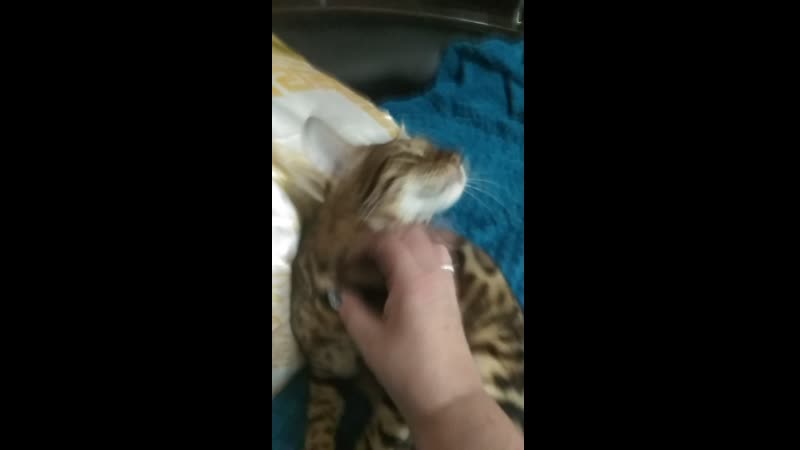 умотали сивку крутые горки