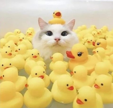 Анастасия Мельничук, Украина, Костополь