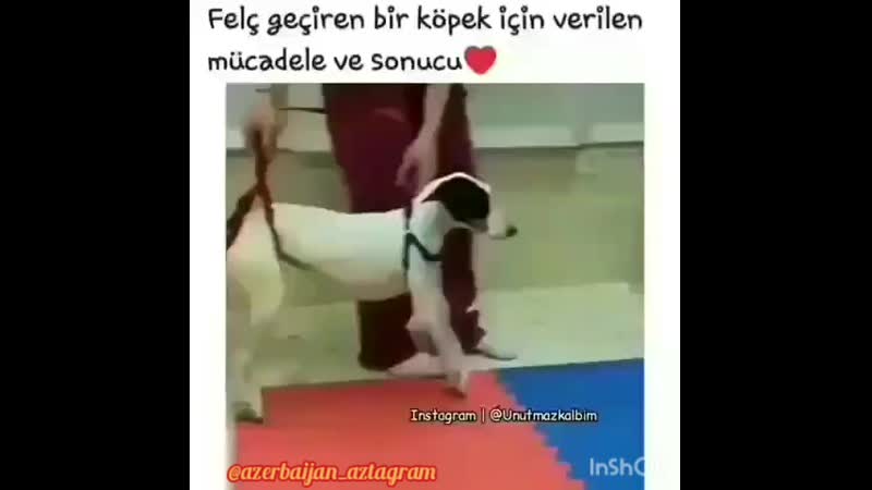 xeirxaq