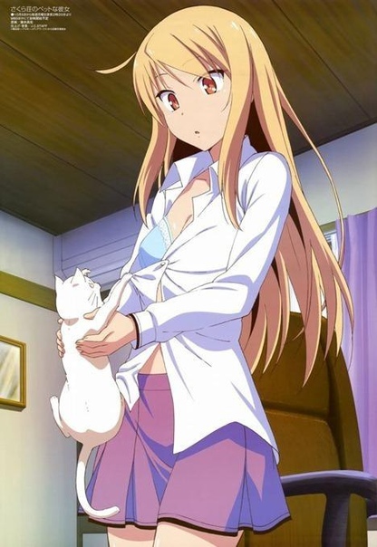 Anime like pet girl of sakurasou
