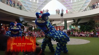 Awesome Dragon Dance, Chinese New Year in Brisbane Australia 2018