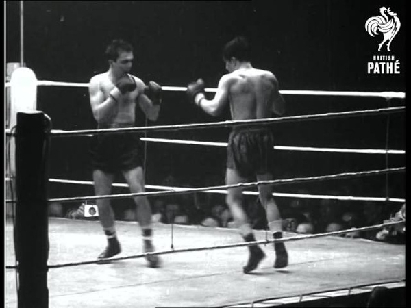 Boxing Sneyers Wins Again