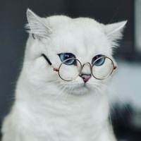 Маргарита Щёголева | 