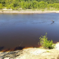 Дима Морозов