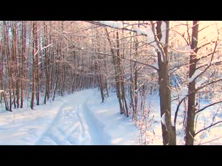 ВЬЮГА (клип)