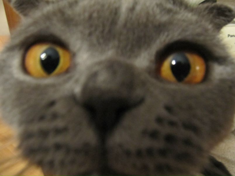 №135, Тим Gibizoff, 57 лет, Санкт-Петербург, Россия №135, Тим Gibizoff, 57 лет, Санкт-Петербург, Россия