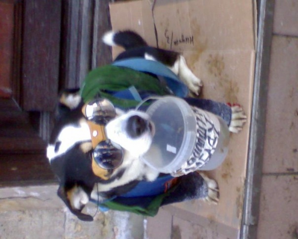 №14, Николай Каменев, Пермь №14, Николай Каменев, Пермь