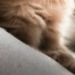 Тома Морозова фотография #26