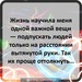 Ирина Бондарчук фотография #45 (источник - https://vk.com/id142947501)