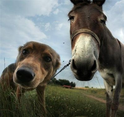 №25, Андрей Гуцуляк, Madrid №25, Андрей Гуцуляк, Madrid