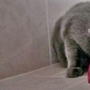 №18, Екатерина Иванова, Самара №18, Екатерина Иванова, Самара