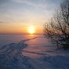 Аватар: Lybov Halonen