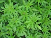 №10 Миша Петров 21.03.1984: профиль, фото, статус - ВКонтакте