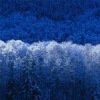 Аватар: Влад Огородник