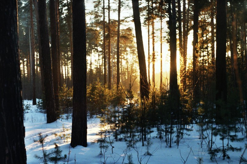 Наталья Кайбилова | Прокопьевск