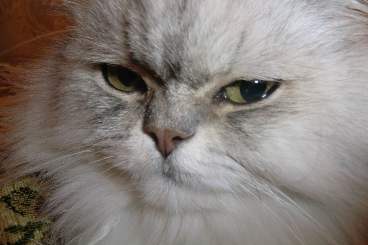 Elena Duzhaeva | Москва