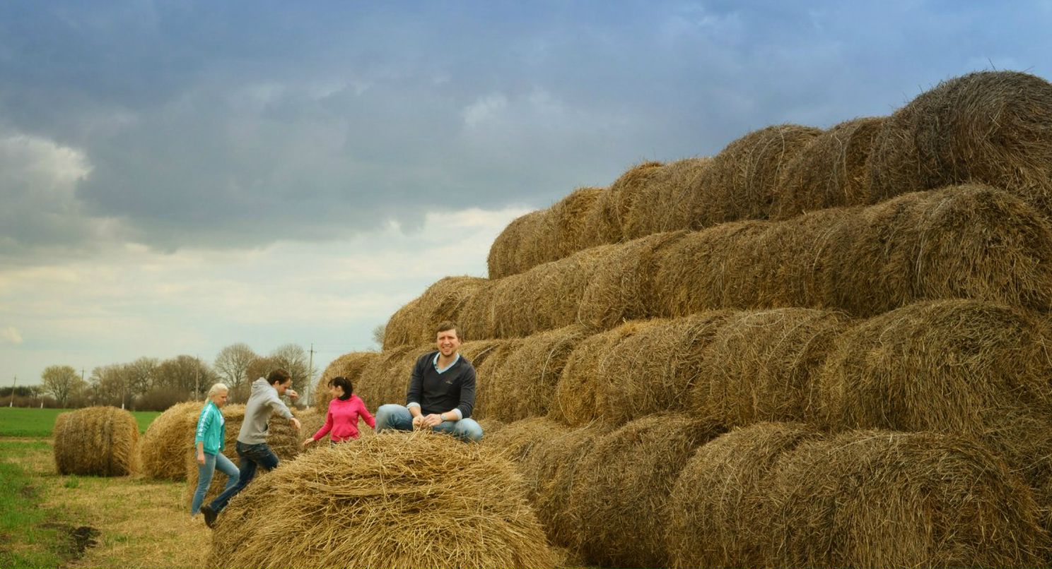 Юль Вінтонів | 