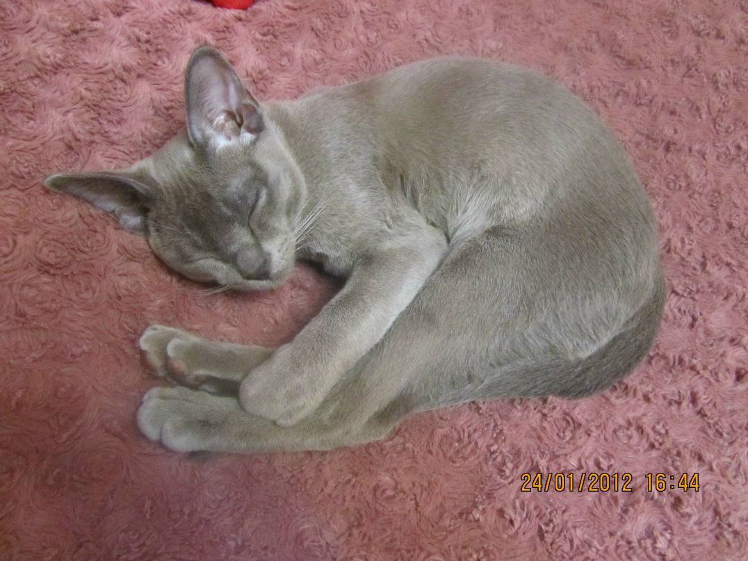 Лерочка Торопцева ♥люблю жизнь Солныффко♥ | Петрозаводск