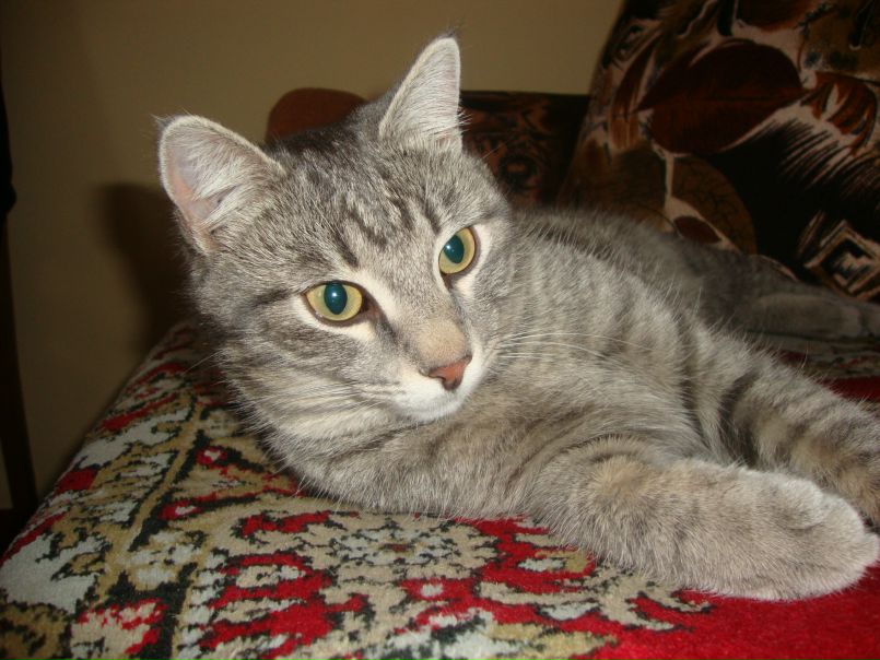 №163, Юлия Еропова, Иркутск №163, Юлия Еропова, Иркутск