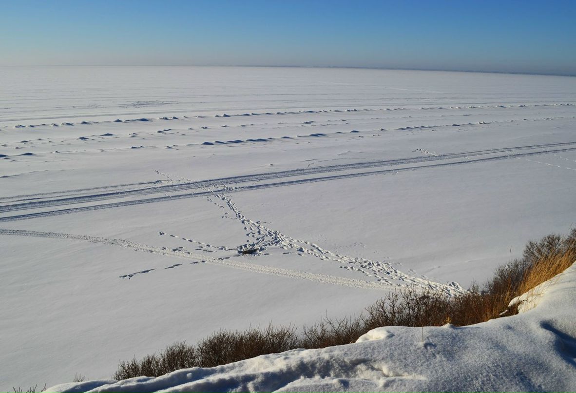 Анна Николаева | Бердск