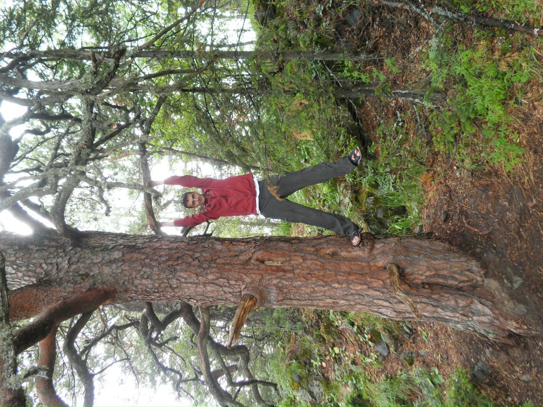 Юрий Барнаул | Барнаул